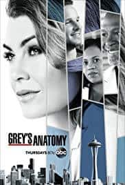 grey's anatomy