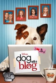 dog with a blog