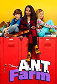 ant farm