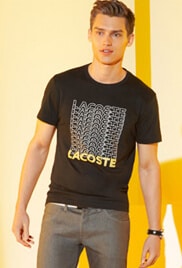 LaCoste Model